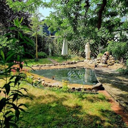 Eine Oase Bei Tara In Waldacker Apartment Rodermark Bagian luar foto