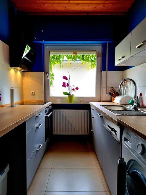 Eine Oase Bei Tara In Waldacker Apartment Rodermark Bagian luar foto