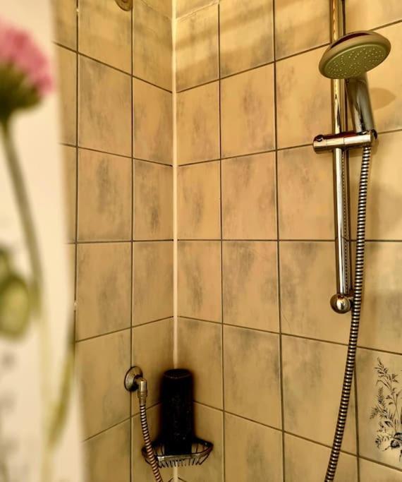 Eine Oase Bei Tara In Waldacker Apartment Rodermark Bagian luar foto